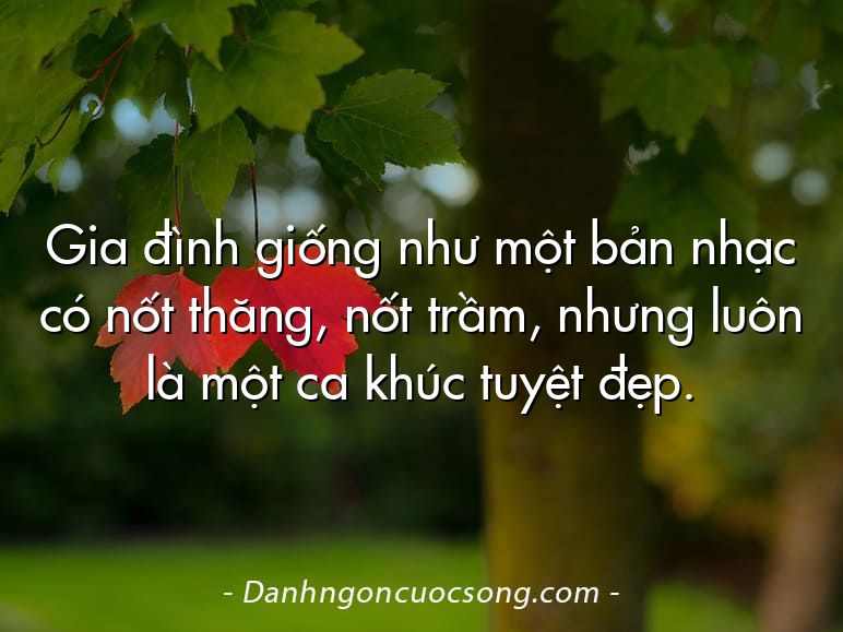 Gia đình giống như một bản nhạc có nốt thăng, nốt trầm, nhưng luôn là một ca khúc tuyệt đẹp.