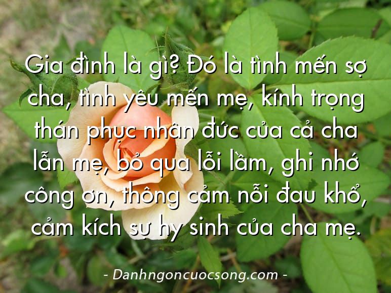 Gia đình là gì? Đó là tình mến sợ cha, tình yêu mến mẹ, kính trọng thán phục nhân đức của cả cha lẫn mẹ, bỏ qua lỗi lầm, ghi nhớ công ơn, thông cảm nỗi đau khổ, cảm kích sự hy sinh của cha mẹ.