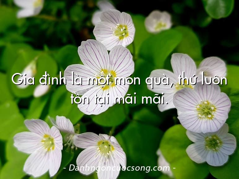 Gia đình là một món quà, thứ luôn tồn tại mãi mãi.