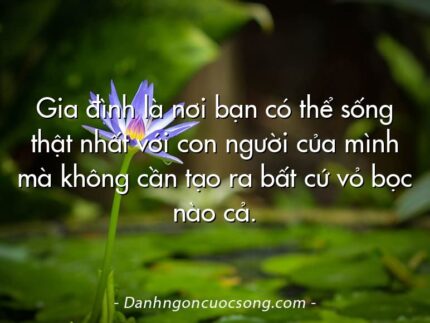 Gia đình là nơi bạn có thể sống thật nhất với con người của mình mà không cần tạo ra bất cứ vỏ bọc nào cả.
