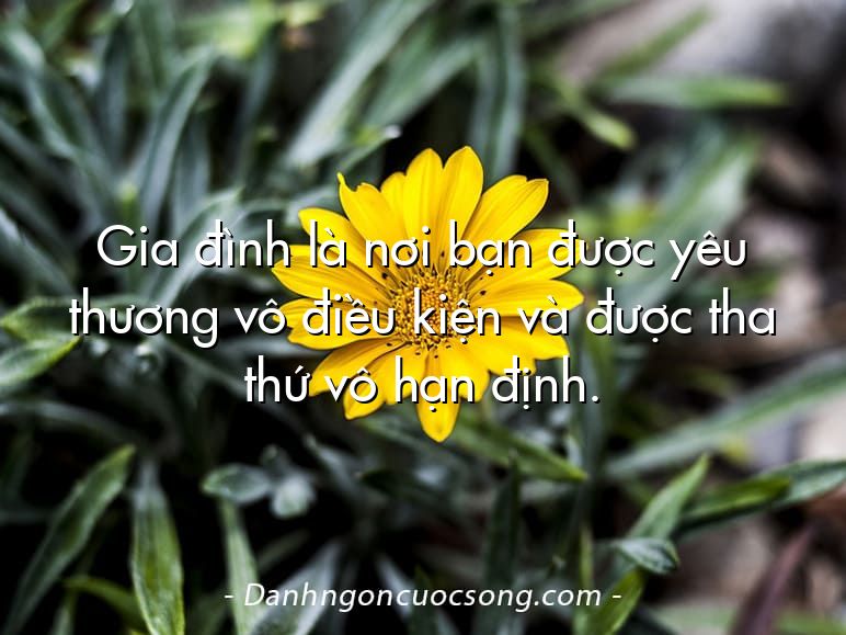 Gia đình là nơi bạn được yêu thương vô điều kiện và được tha thứ vô hạn định.