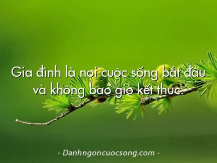 Gia đình là nơi cuộc sống bắt đầu và không bao giờ kết thúc.