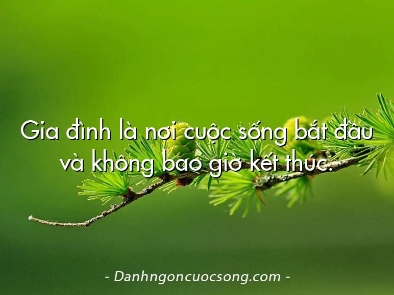 Gia đình là nơi cuộc sống bắt đầu và không bao giờ kết thúc.