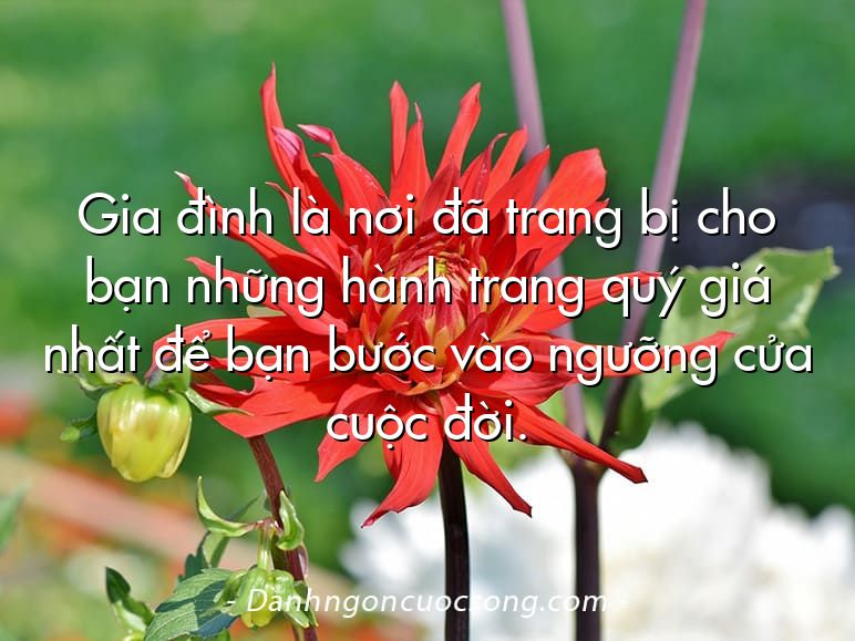 Gia đình là nơi đã trang bị cho bạn những hành trang quý giá nhất để bạn bước vào ngưỡng cửa cuộc đời.