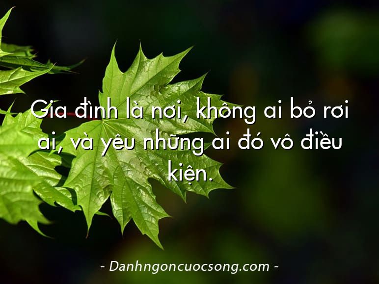 Gia đình là nơi, không ai bỏ rơi ai, và yêu những ai đó vô điều kiện.
