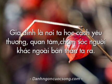 Gia đình là nơi ta học cách yêu thương, quan tâm,chăm sóc người khác ngoài bản thân ta ra.