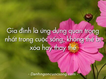 Gia đình là ứng dụng quan trọng nhất trong cuộc sống, không thể bị xóa hay thay thế