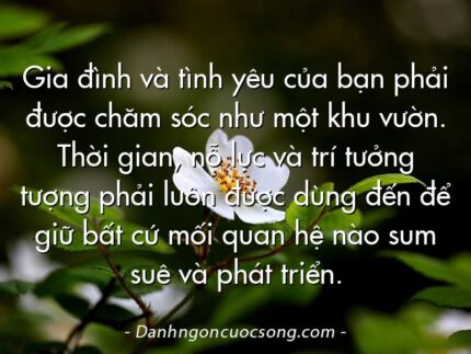 Gia đình và tình yêu của bạn phải được chăm sóc như một khu vườn. Thời gian, nỗ lực và trí tưởng tượng phải luôn được dùng đến để giữ bất cứ mối quan hệ nào sum suê và phát triển.