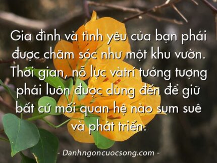 Gia đình và tình yêu của bạn phải được chăm sóc như một khu vườn. Thời gian, nỗ lực vàtrí tưởng tượng phải luôn được dùng đến để giữ bất cứ mối quan hệ nào sum suê và phát triển.
