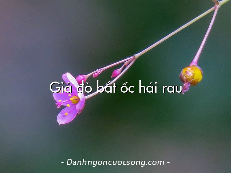 Giả đò bắt ốc hái rau