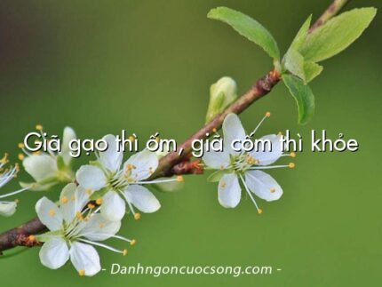 Giã gạo thì ốm, giã cốm thì khỏe