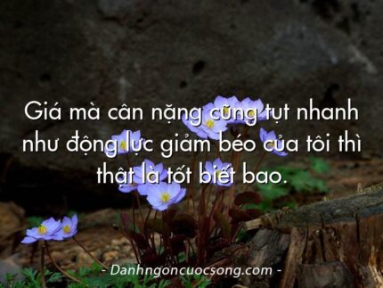 Giá mà cân nặng cũng tụt nhanh như động lực giảm béo của tôi thì thật là tốt biết bao.