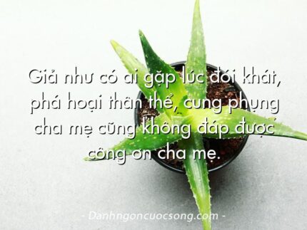 Giả như có ai gặp lúc đói khát, phá hoại thân thể, cung phụng cha mẹ cũng không đáp được công ơn cha mẹ.