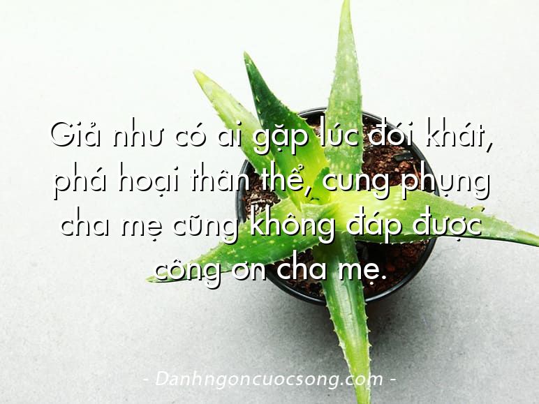 Giả như có ai gặp lúc đói khát, phá hoại thân thể, cung phụng cha mẹ cũng không đáp được công ơn cha mẹ.