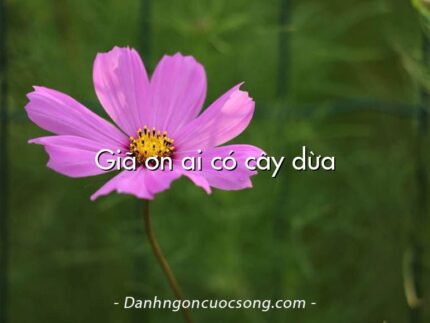 Giã ơn ai có cây dừa