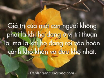 Giá trị của một con người không phải là khi họ đang ở vị trí thuận lợi mà là khi họ đang rơi vào hoàn cảnh khó khăn và đau khổ nhất.
