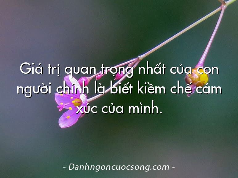 Giá trị quan trọng nhất của con người chính là biết kiềm chế cảm xúc của mình.