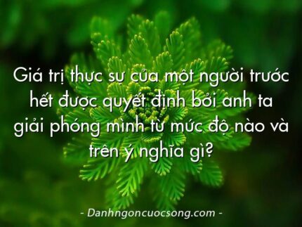 Giá trị thực sự của một người trước hết được quyết định bởi anh ta giải phóng mình từ mức độ nào và trên ý nghĩa gì?