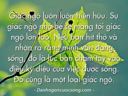 Giác ngộ luôn luôn hiện hữu. Sự giác ngộ nhỏ bé sẽ mang tới giác ngộ lớn lao. Nếu bạn hít thở và nhận ra rằng mình vẫn đang sống, đó là lúc bạn chạm tay vào điều kỳ diệu của việc được sống. Đó cũng là một loại giác ngộ.