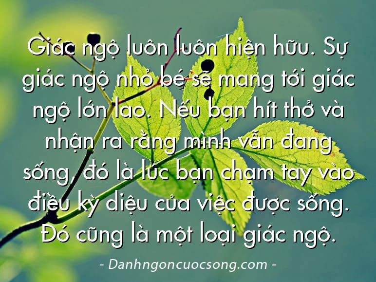 Giác ngộ luôn luôn hiện hữu. Sự giác ngộ nhỏ bé sẽ mang tới giác ngộ lớn lao. Nếu bạn hít thở và nhận ra rằng mình vẫn đang sống, đó là lúc bạn chạm tay vào điều kỳ diệu của việc được sống. Đó cũng là một loại giác ngộ.