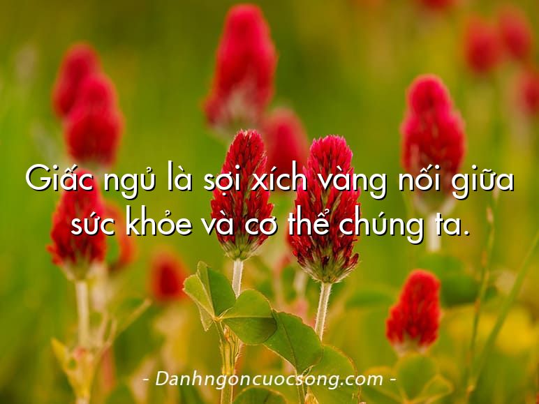 Giấc ngủ là sợi xích vàng nối giữa sức khỏe và cơ thể chúng ta.