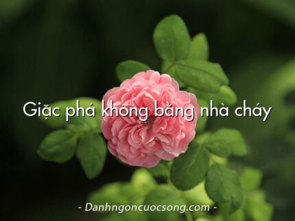 Giặc phá không bằng nhà cháy