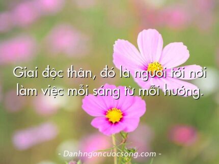Giai độc thân, đó là người tới nơi làm việc mỗi sáng từ mỗi hướng.