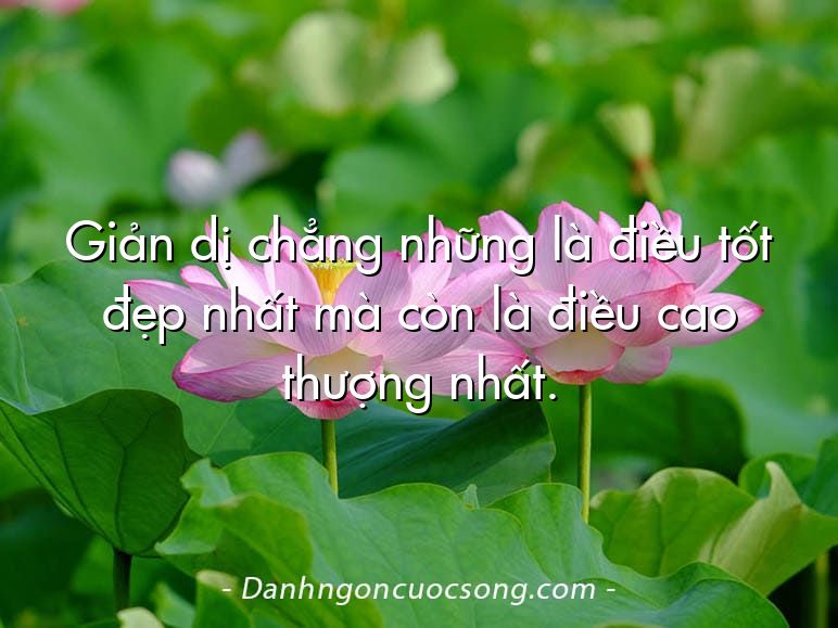 Giản dị chẳng những là điều tốt đẹp nhất mà còn là điều cao thượng nhất.