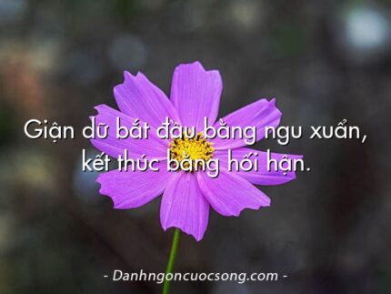 Giận dữ bắt đầu bằng ngu xuẩn, kết thúc bằng hối hận.