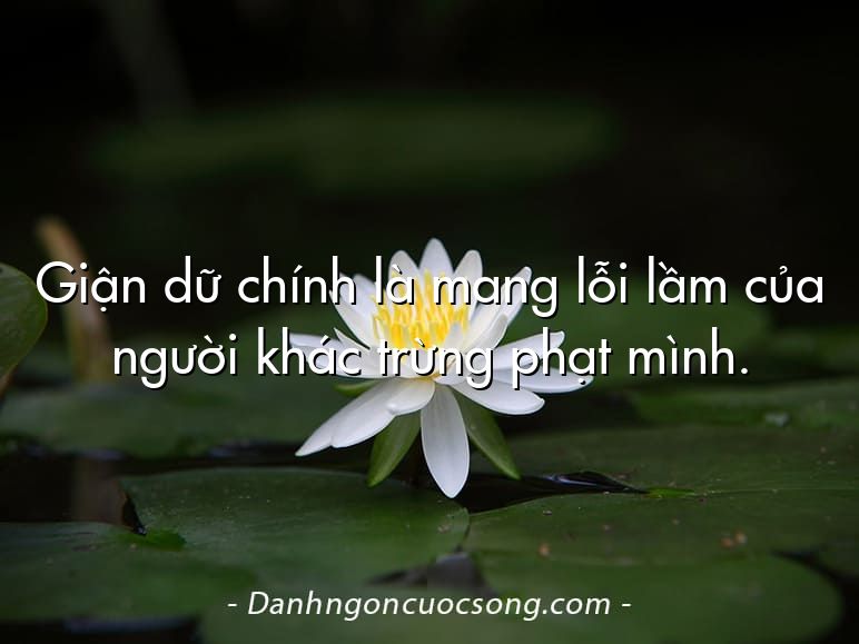 Giận dữ chính là mang lỗi lầm của người khác trừng phạt mình.