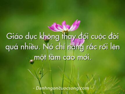 Giáo dục không thay đổi cuộc đời quá nhiều. Nó chỉ nâng rắc rối lên một tầm cao mới.