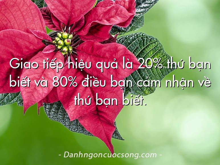 Giao tiếp hiệu quả là 20% thứ bạn biết và 80% điều bạn cảm nhận về thứ bạn biết.