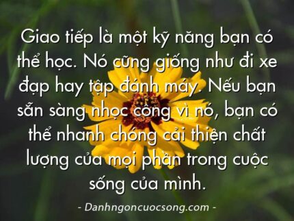 Giao tiếp là một kỹ năng bạn có thể học. Nó cũng giống như đi xe đạp hay tập đánh máy. Nếu bạn sẵn sàng nhọc công vì nó, bạn có thể nhanh chóng cải thiện chất lượng của mọi phần trong cuộc sống của mình.