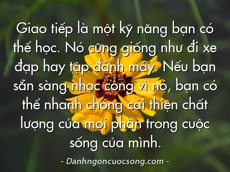 Giao tiếp là một kỹ năng bạn có thể học. Nó cũng giống như đi xe đạp hay tập đánh máy. Nếu bạn sẵn sàng nhọc công vì nó, bạn có thể nhanh chóng cải thiện chất lượng của mọi phần trong cuộc sống của mình.