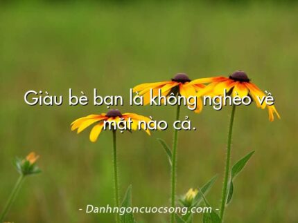 Giàu bè bạn là không nghèo về mặt nào cả.