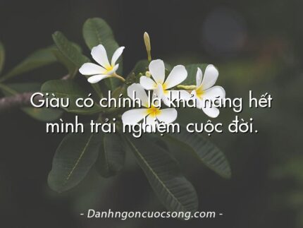 Giàu có chính là khả năng hết mình trải nghiệm cuộc đời.