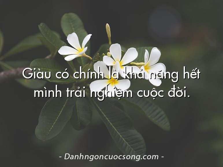 Giàu có chính là khả năng hết mình trải nghiệm cuộc đời.