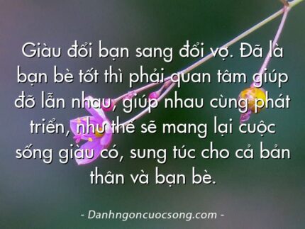 Giàu đổi bạn sang đổi vợ. Đã là bạn bè tốt thì phải quan tâm giúp đỡ lẫn nhau, giúp nhau cùng phát triển, như thế sẽ mang lại cuộc sống giàu có, sung túc cho cả bản thân và bạn bè.