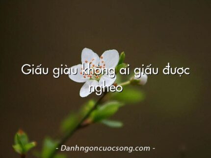 Giấu giàu không ai giấu được nghèo
