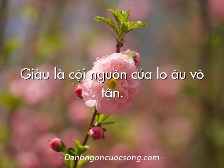 Giàu là cội nguồn của lo âu vô tận.