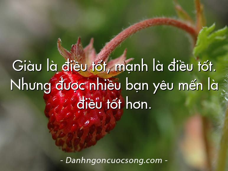 Giàu là điều tốt, mạnh là điều tốt. Nhưng được nhiều bạn yêu mến là điều tốt hơn.