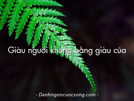 Giàu người không bằng giàu của