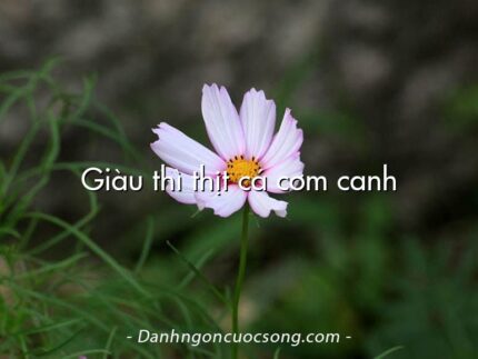 Giàu thì thịt cá cơm canh