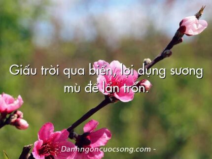 Giấu trời qua biển, lợi dụng sương mù để lẩn trốn.