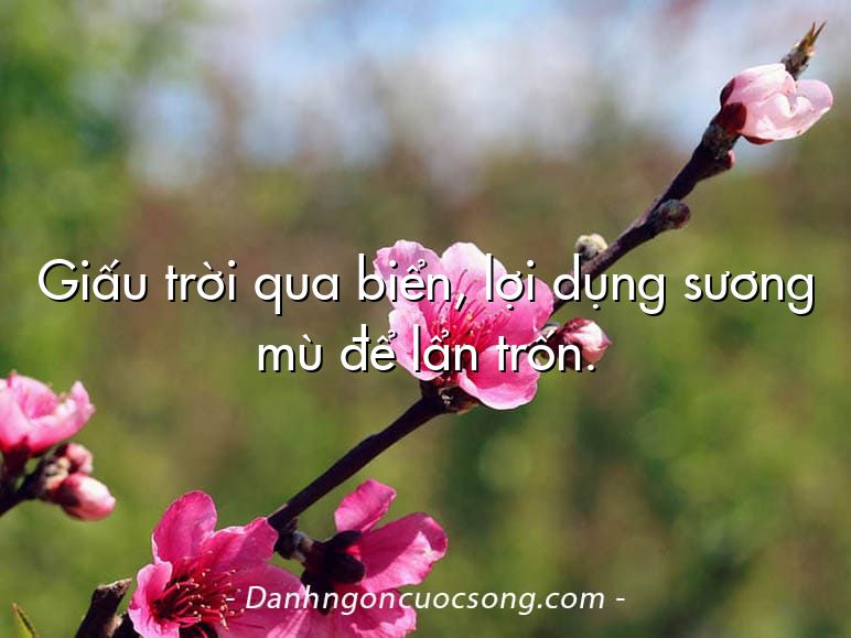 Giấu trời qua biển, lợi dụng sương mù để lẩn trốn.