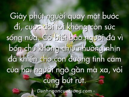 Giây phút người quay mặt bước đi, cuộc đời tôi không còn sức sống nữa. Có biết bao người đã vì bốn chữ không chịu nhường nhịn đã khiến cho con đường tình cảm của hai người ngỡ gần mà xa, vôi cùng bứt rứt.