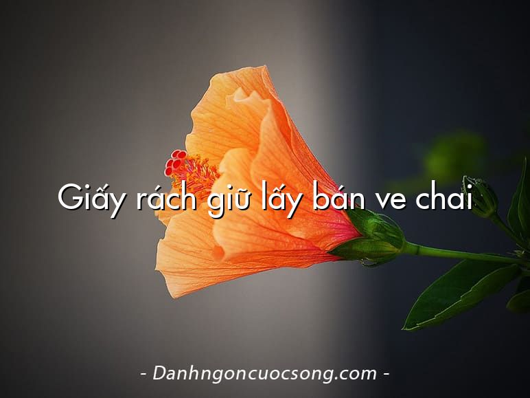 Giấy rách giữ lấy bán ve chai