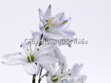 Giầy thừa, guốc thiếu