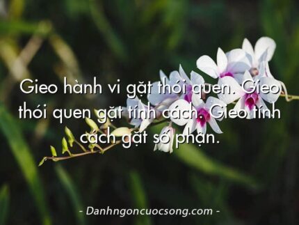 Gieo hành vi gặt thói quen. Gieo thói quen gặt tính cách. Gieo tính cách gặt số phận.