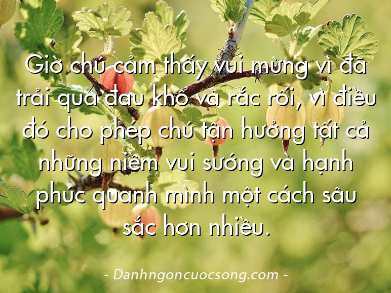 Giờ chú cảm thấy vui mừng vì đã trải qua đau khổ và rắc rối, vì điều đó cho phép chú tận hưởng tất cả những niềm vui sướng và hạnh phúc quanh mình một cách sâu sắc hơn nhiều.